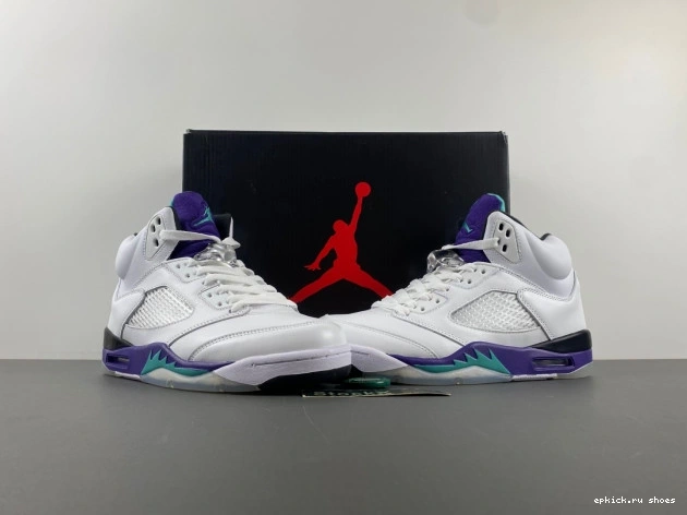 Cheap Air Grape 5 Jordan 136027-108 (2013) Retro 0817